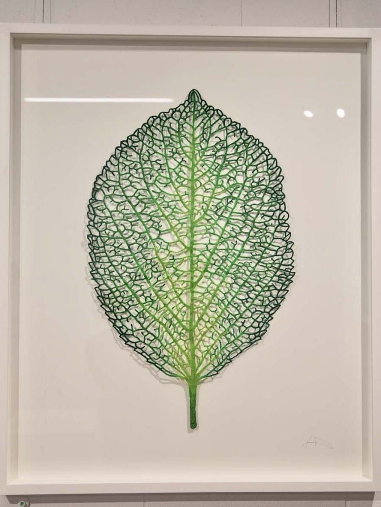 Hydrangea Leaf
